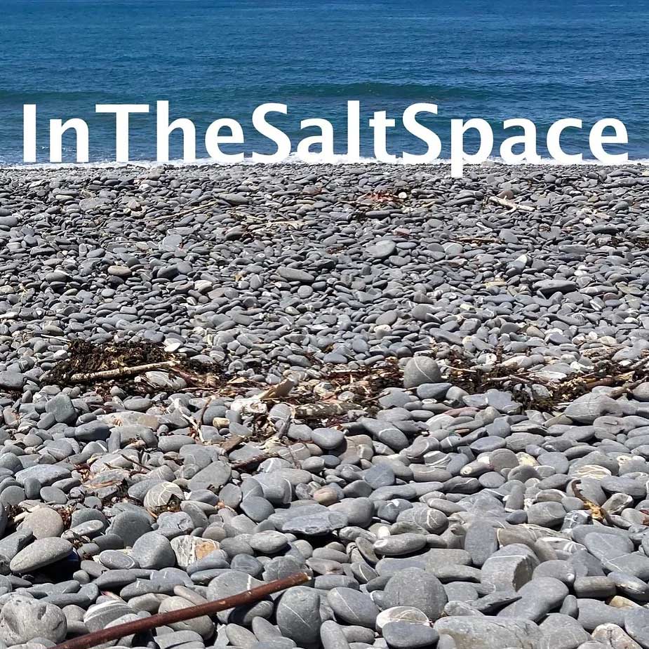 InTheSaltSpace